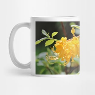 Yellow Wild Azalea Mug